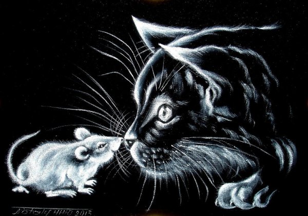 Рисунки белым по черному