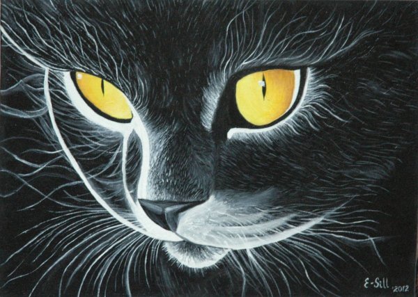 Рисование пастелью на черной бумаге