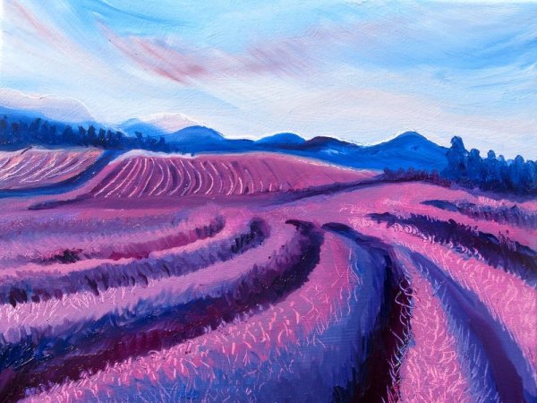 Лавандовое поле пастелью