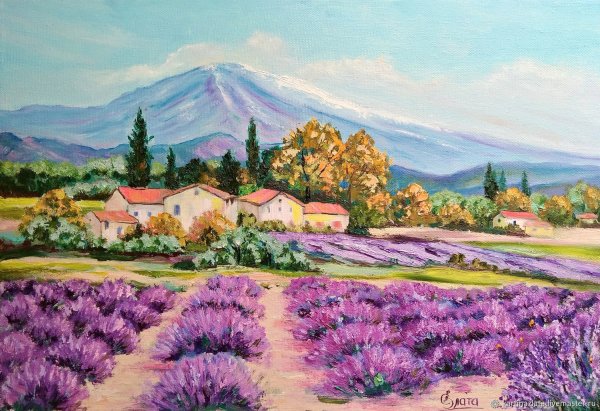 Картины Лавандовые поля в Провансе