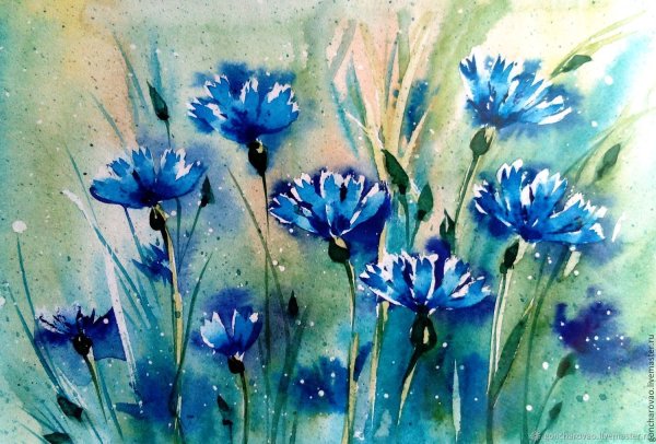 Ханс Эмменеггер васильки