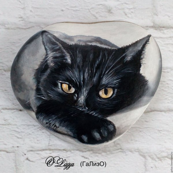 Роспись на камнях котики