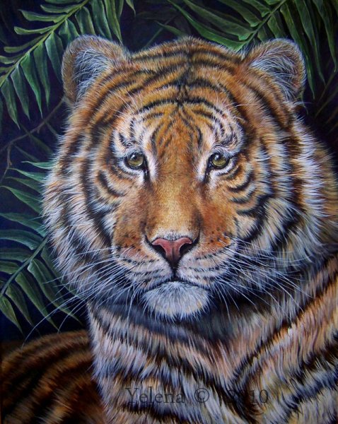 Рисунок тигра