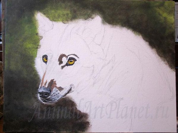 Кошка акриловыми красками