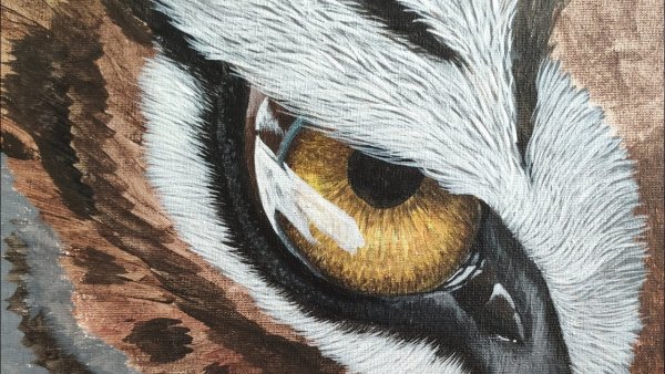 Необычное рисование