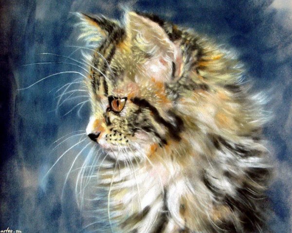 Коты Ким Хаскинс из шерсти мастер класс