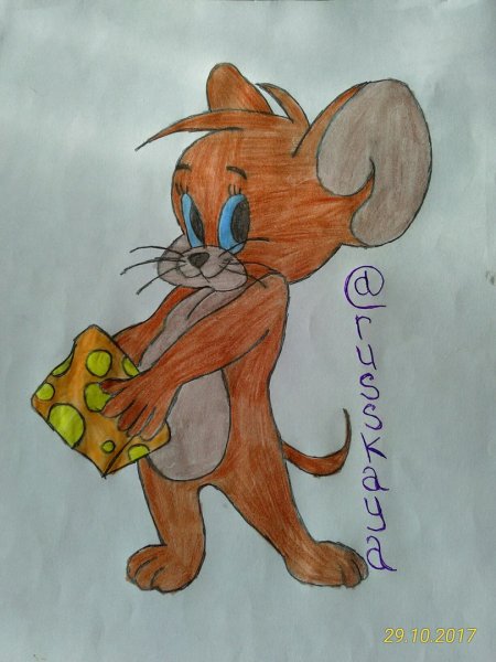 Джерри рисунок карандашом