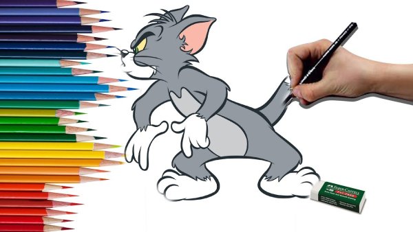 Рисовалки том и Джерри