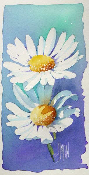 Ромашки гуашью
