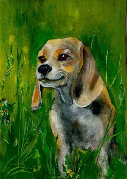 Правополушарное рисование собака