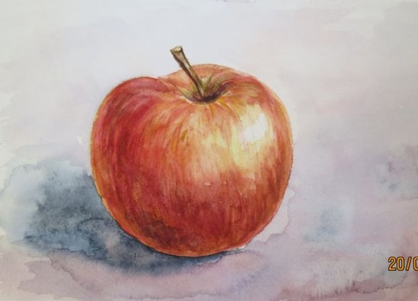 Яблоко с натуры акварель