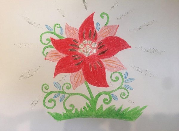 Аксаков Аленький цветочек рисунок