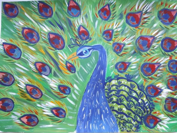 Правополушарное рисование Павлин