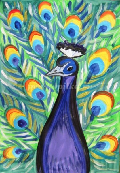 Павлин гуашью