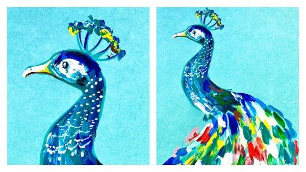 Павлин гуашью