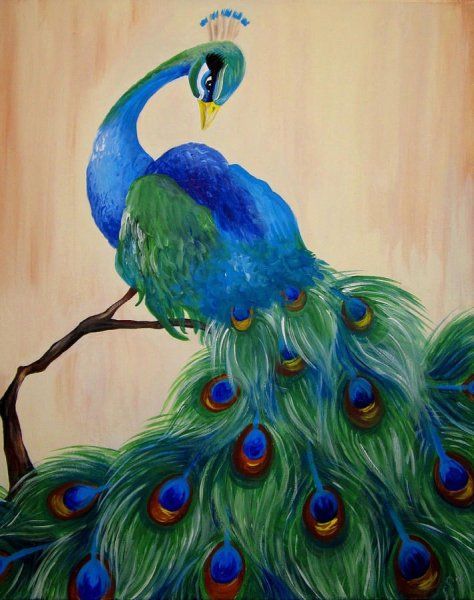 Павлин рисунок красками