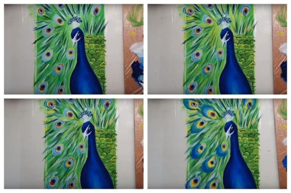 Павлин красками