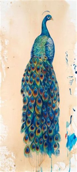 Рисование ладошкой Сказочная птица