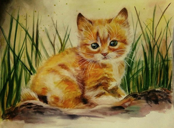 Кот в траве акварель