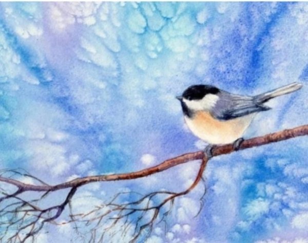 Синица зимой акварель