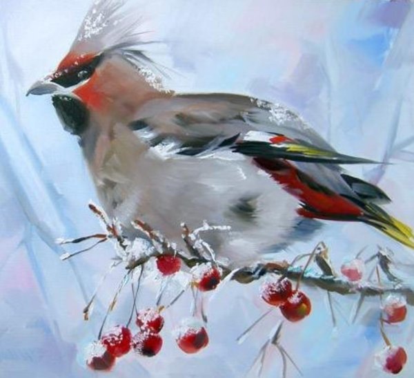 Свиристель картина живопись акварель