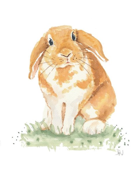 Кролик Акварельная иллюстрация