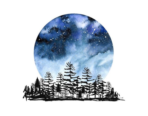 Круг в природе