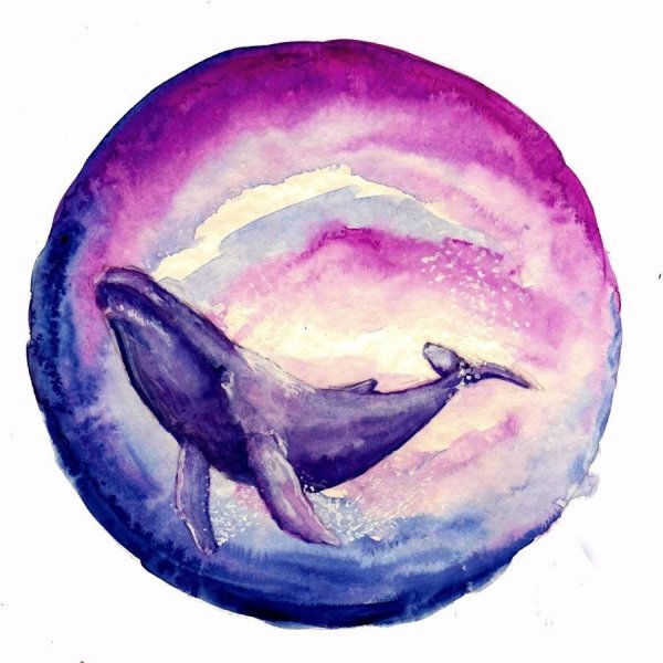 Фиолетовый кит