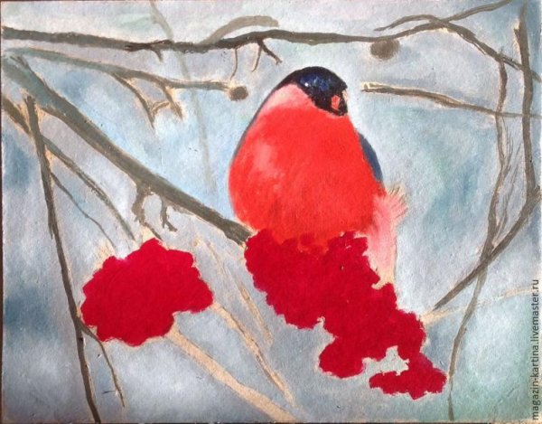 Правополушарное рисование Снегирь на ветке