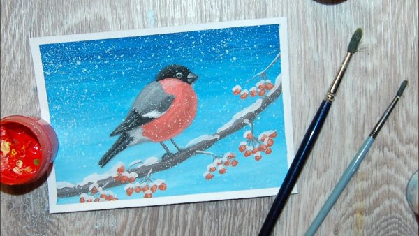 Снегирь правополушарное