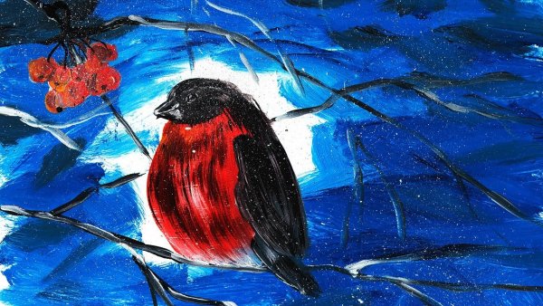 Поэтапное рисование снегиря гуашью