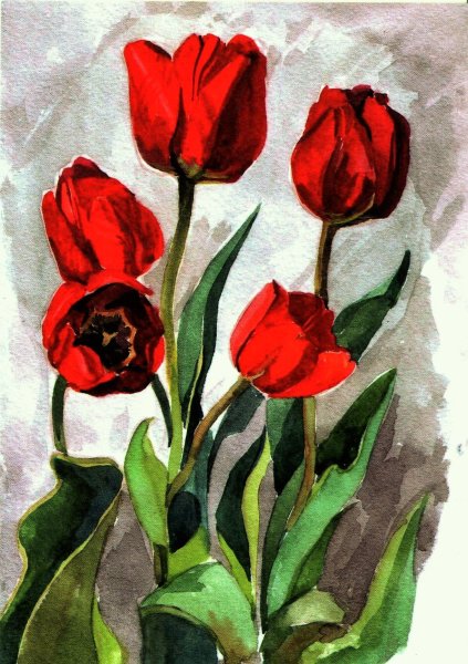 Андрияка тюльпаны акварелью