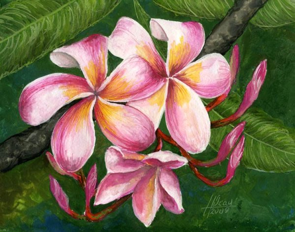 Цветы гуашью