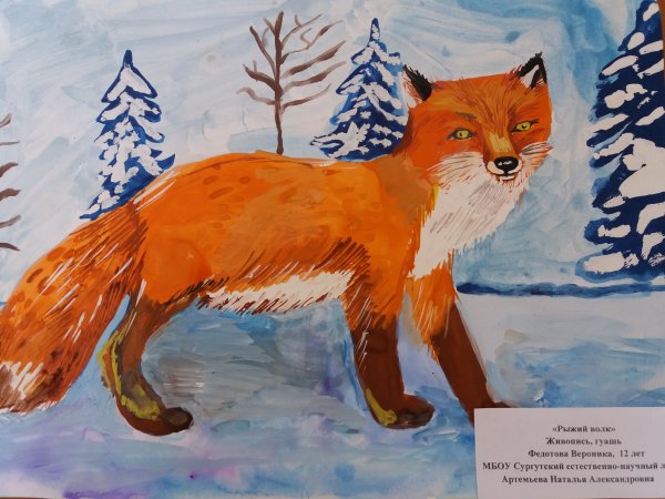 Волк гуашью для детей