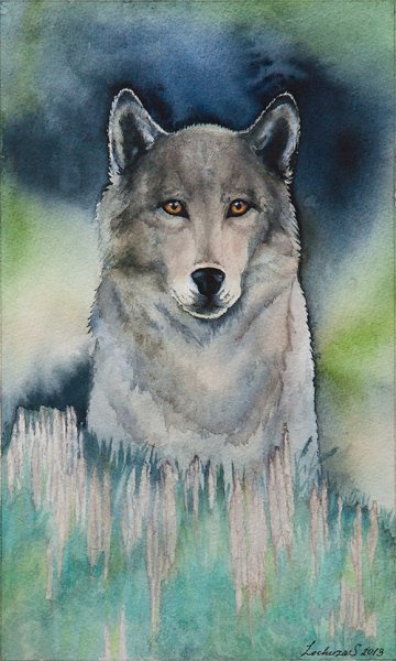 Акварельные карандаши волк