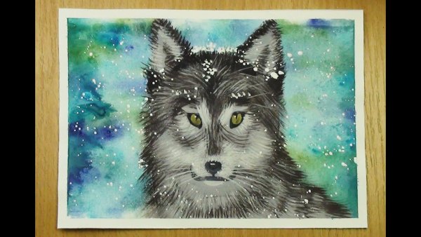 Волк рисунок красками детский