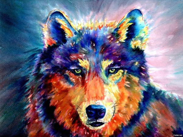 Волк акрилом