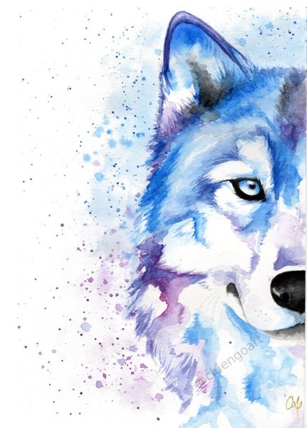 Волк рисунок красками