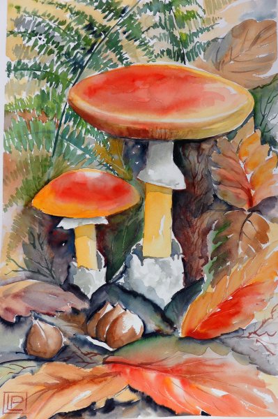 Грибы акварелью