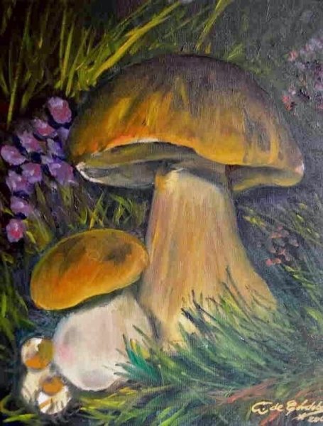 Грибы цветными карандашами