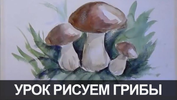 Грибы акварелью поэтапно