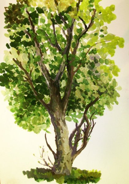 Деревья акварелью