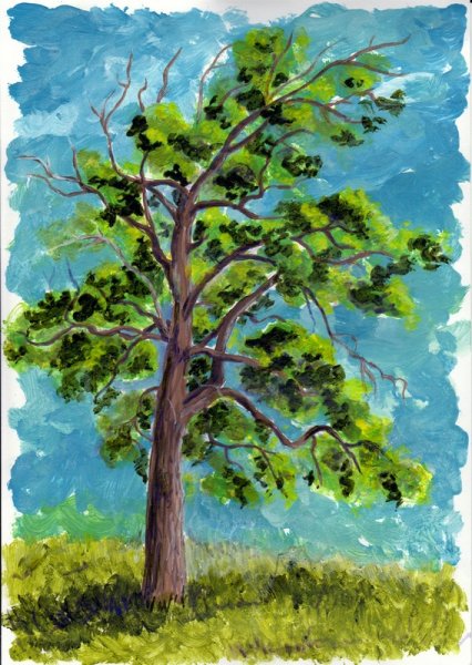 Дерево гуашью