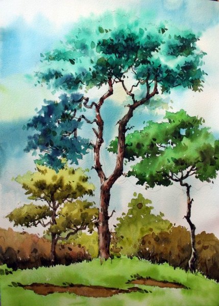 Деревья акварелью