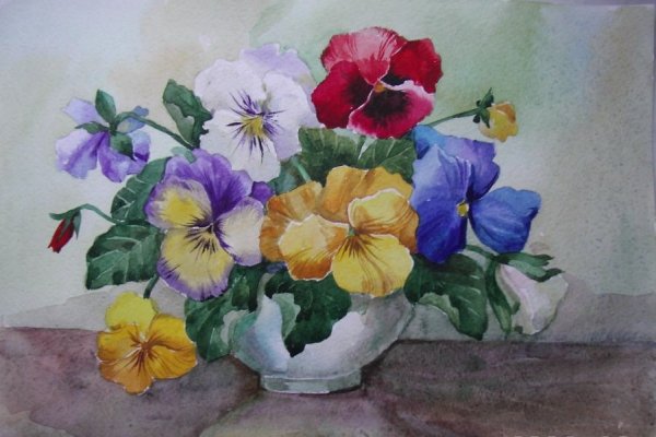 Гуашь Анютины глазки