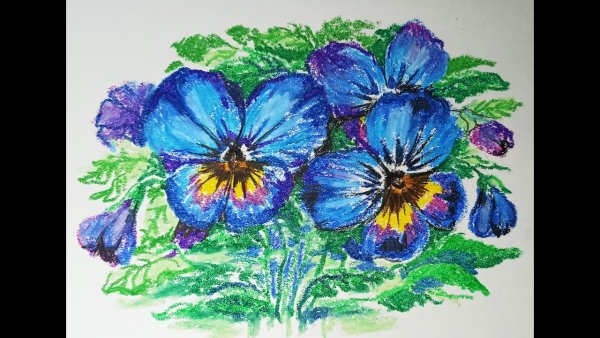 Анютины глазки пастелью мастер класс