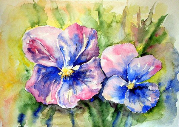 Анютины глазки акварелью по сырому