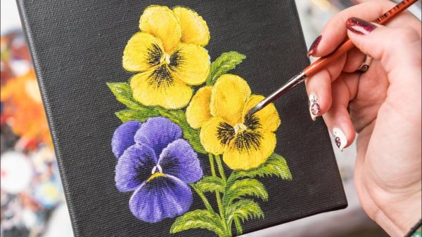 Скетчинг Анютины глазки