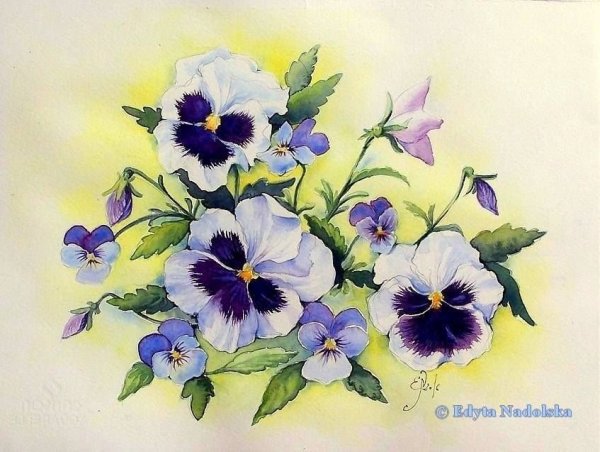 Елена Вавилина Анютины глазки