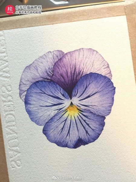 Скетчинг Анютины глазки